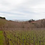 Amari Getaria